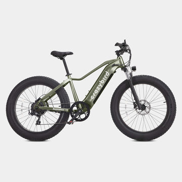 Crazybird CB60 fat tire electric bike