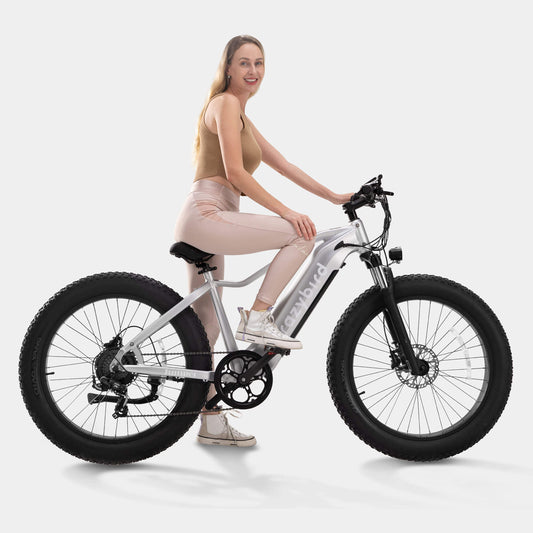Crazybird CB60 fat tire electric bike