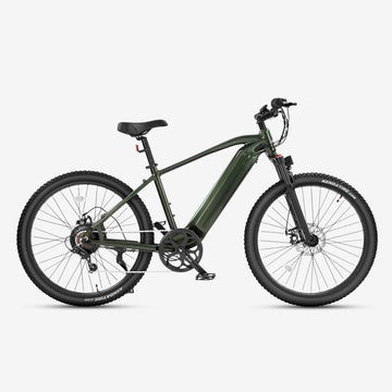 Q12 Fat Tire Ebike
