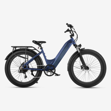 R6 Fat tire electric bike