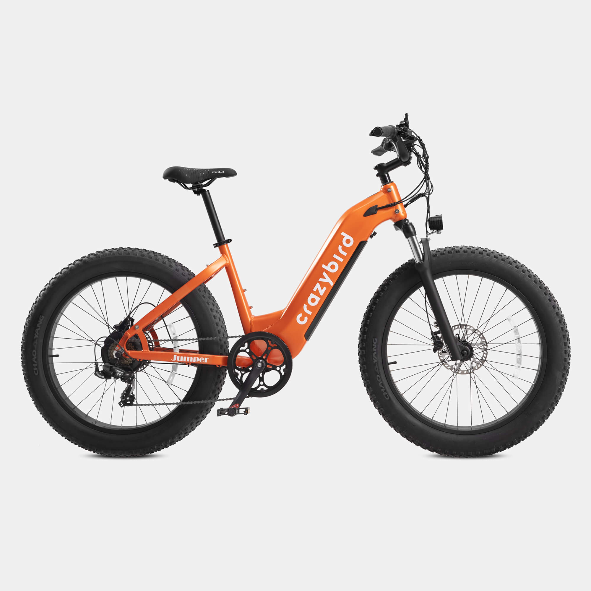 bird bike urban e-bike Crazybird CB60 fat tire electric bike
