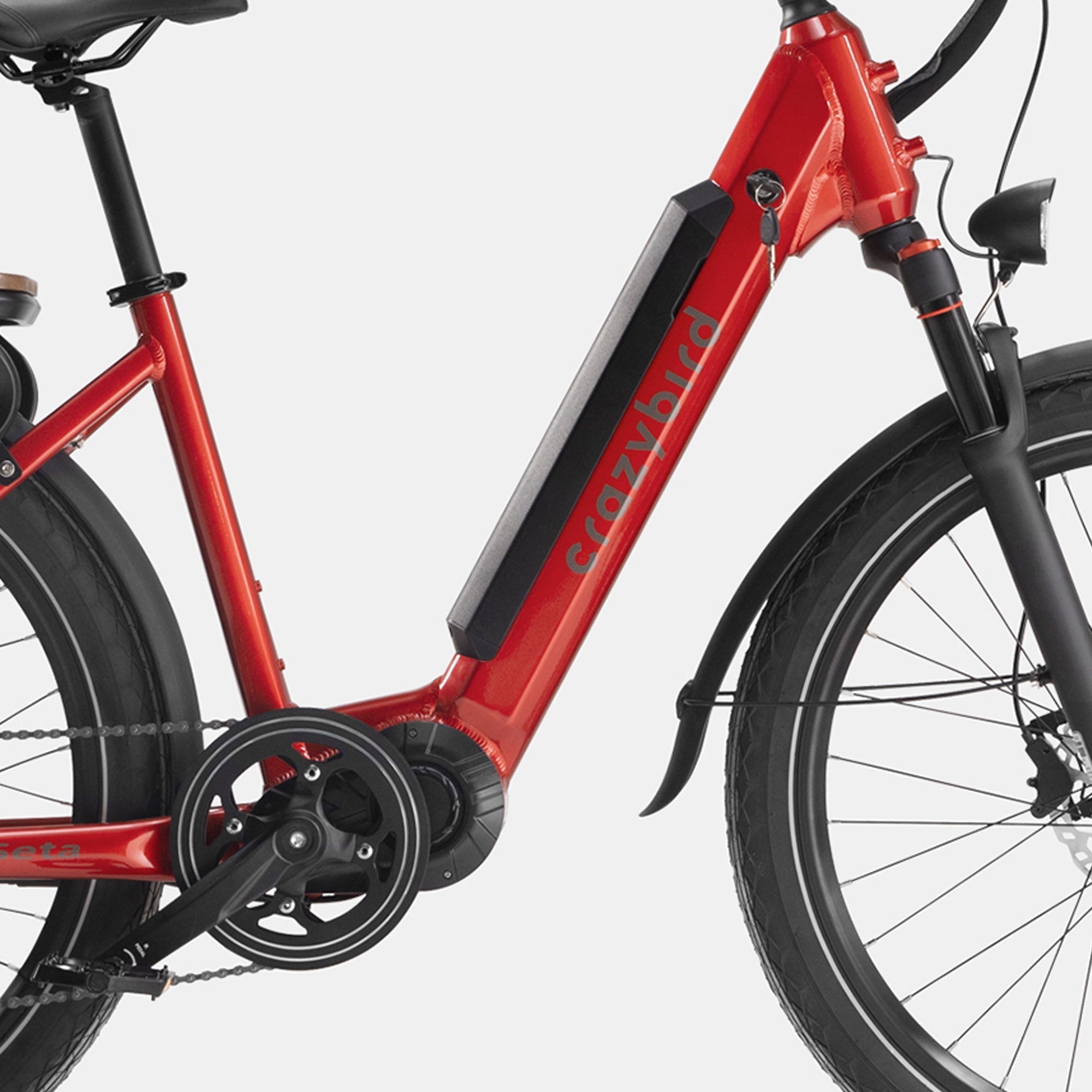 bird e-bike damen 48v 14Ah Battery