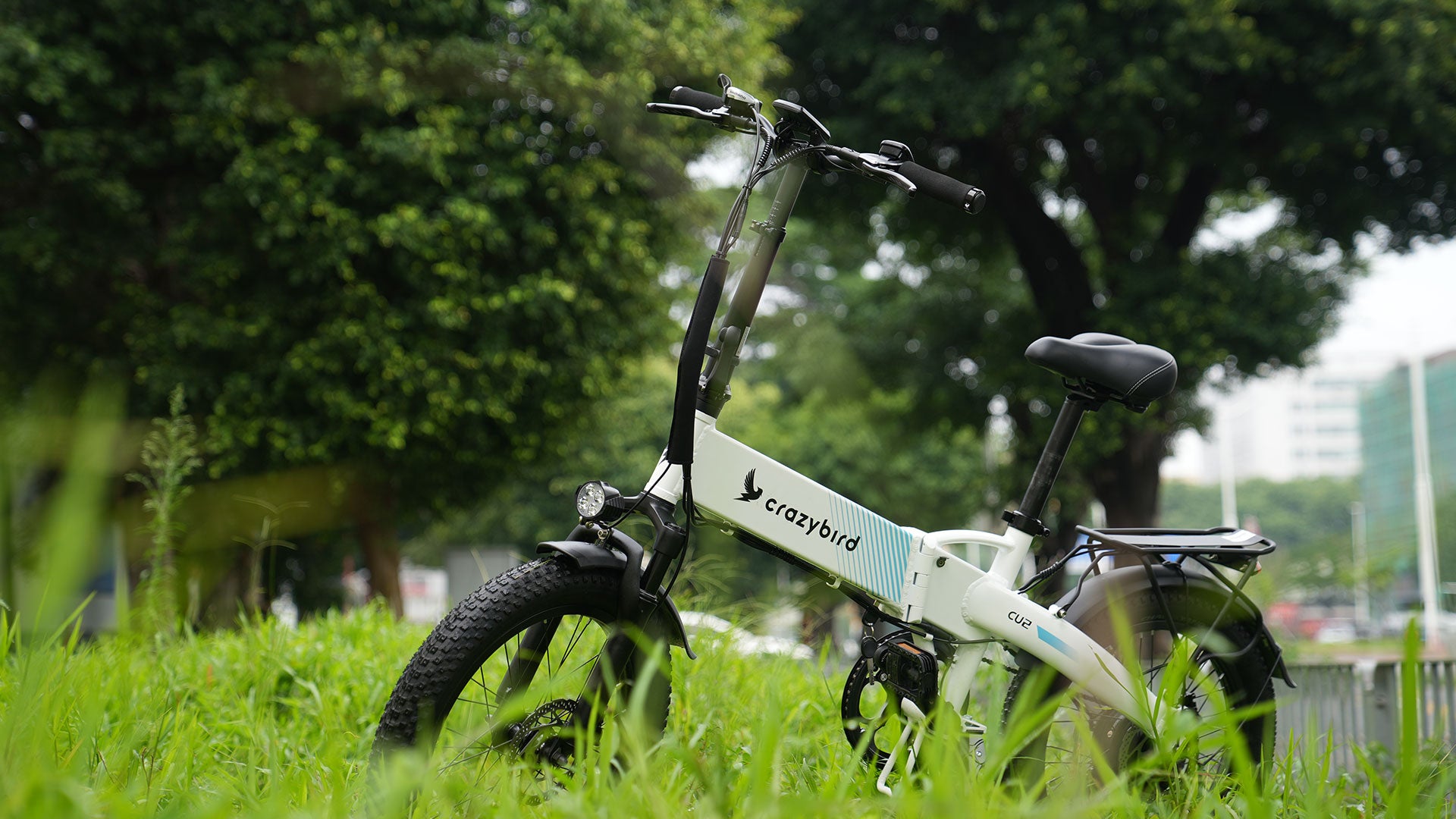Crazybird-CU2 Electric Bike for Adults 20