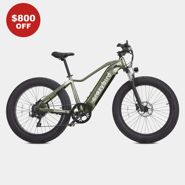 Crazybird CB60 fat tire electric bike