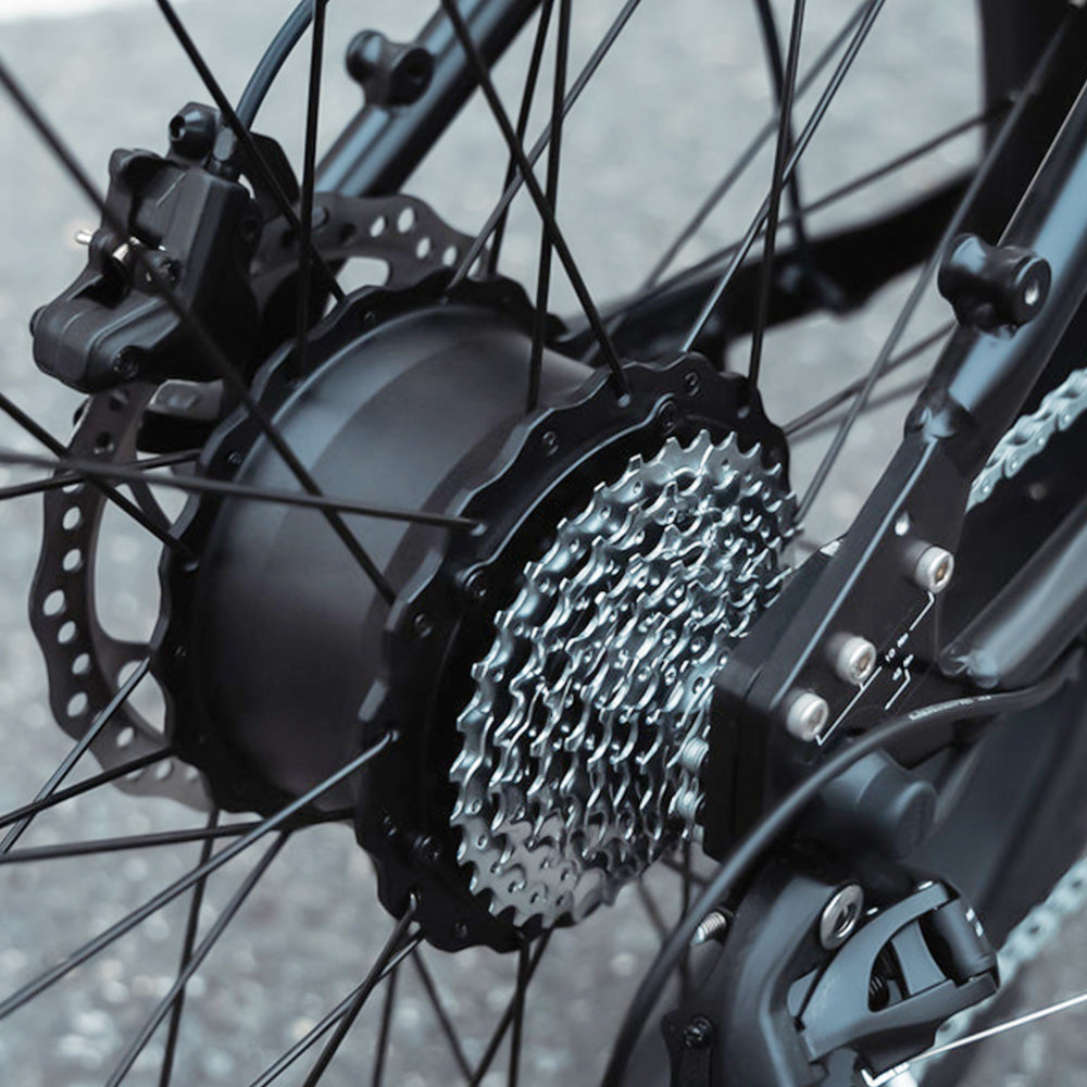 Crazybird R5 Electric Fat Tire Bike for Adults, 750W Powerful