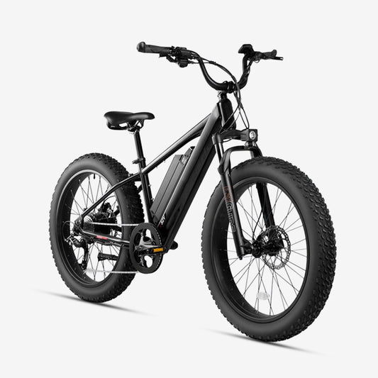 Crazybird R5 Fat tire electric bike