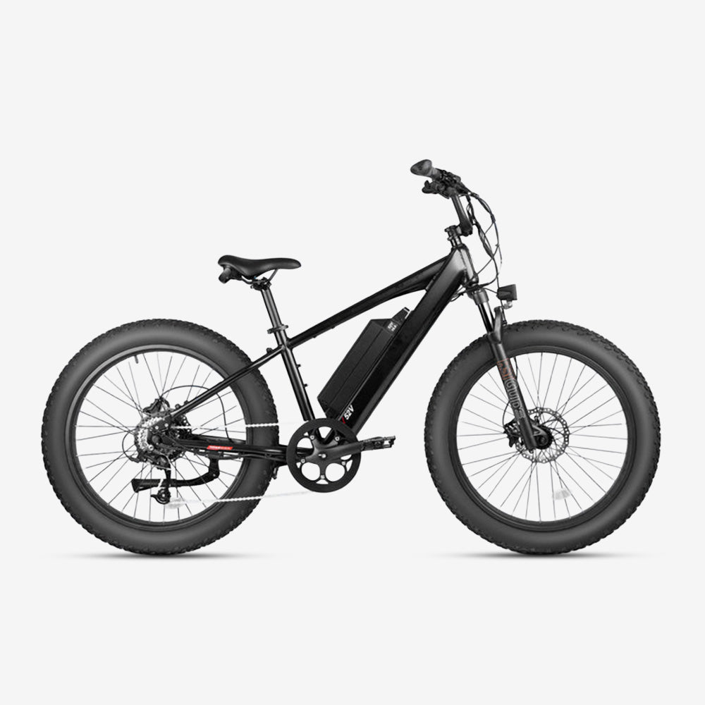 R5 Fat tire electric bike