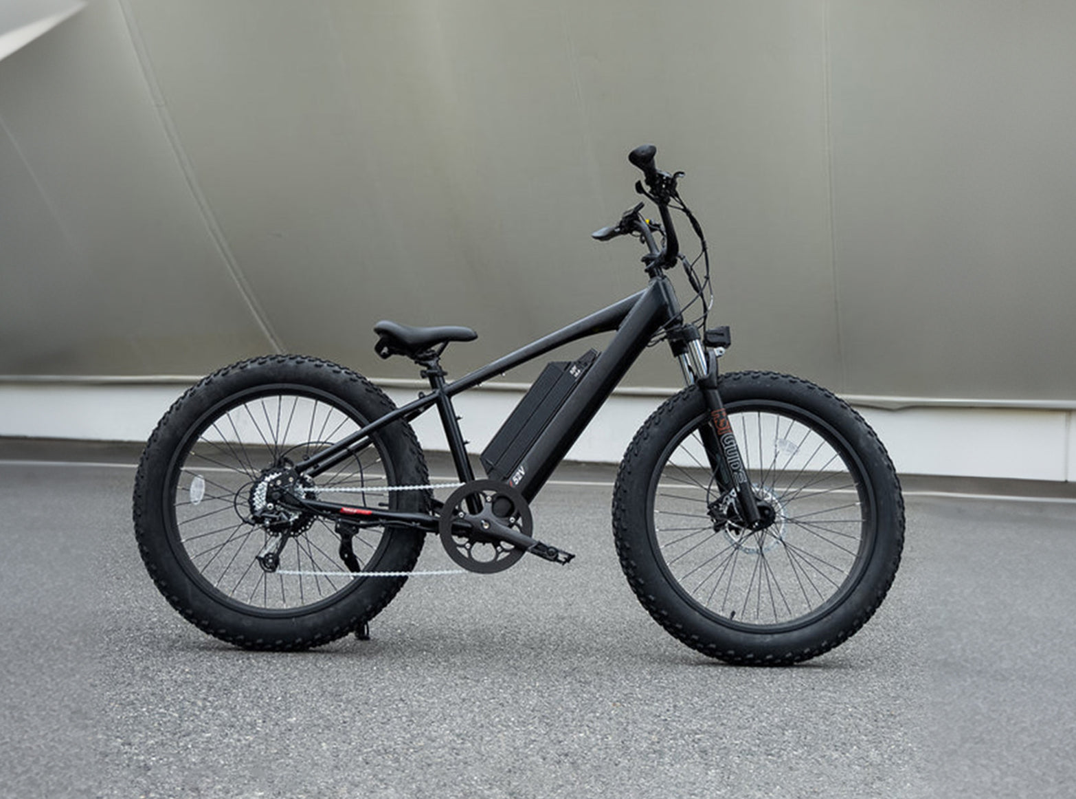 Crazybird R5 Electric Fat Tire Bike for Adults, 750W Powerful